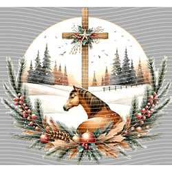 Christmas-ADJ 11817